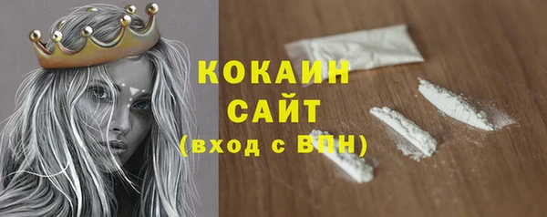 сатива Гусь-Хрустальный