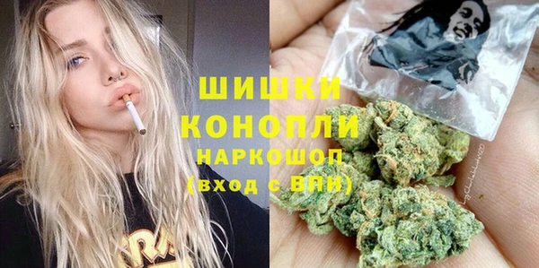 СК Гусев
