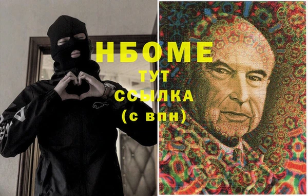сатива Гусь-Хрустальный