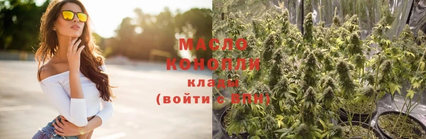 сатива Гусь-Хрустальный