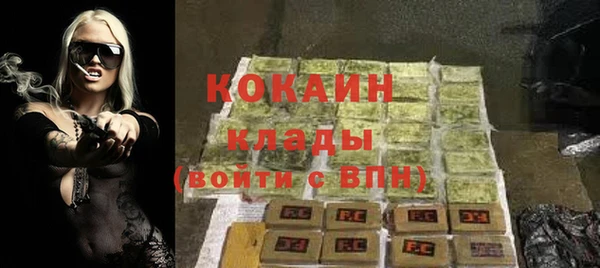 сатива Гусь-Хрустальный