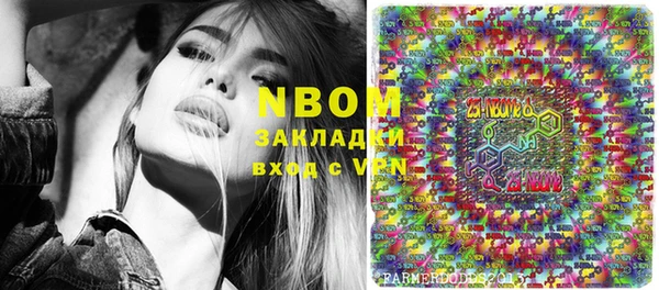 сатива Гусь-Хрустальный