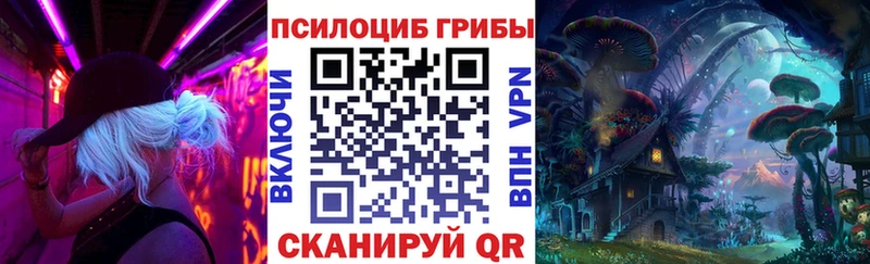 omg онион  Октябрьский  Галлюциногенные грибы Psilocybine cubensis 